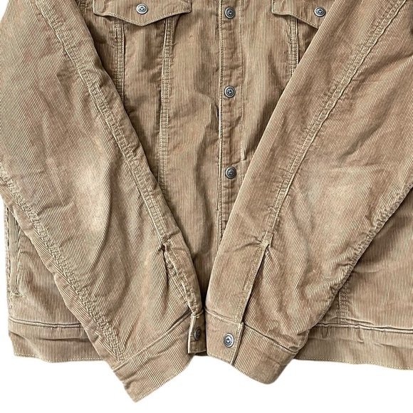 Patagonia Pile-LinedTrucker in a size large - Picture 3 of 10